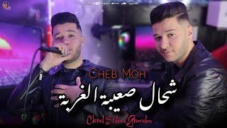 Cheb Moh 2024  شحال صعيبة الغربة  Chhal s3iba lghorba Vidéo Studio 2024 [upl. by Elag]