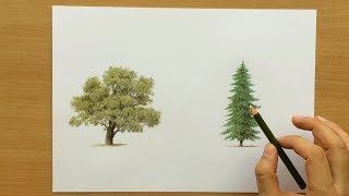 How to Draw Trees With Colored Pencils  Drawing Tutorial [upl. by Hay]