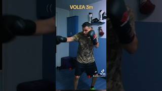 DÍA 6 LIVE BOXEO 🥊Resumen boxeoespaña cambiofísico boxeo [upl. by Anatollo]