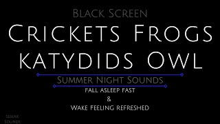 Black Screen 10 Hours  Crickets  Frogs  Katydids  Owl  Cricket Sounds for Sleeping [upl. by Spohr]