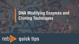 Quick Tips  How can I improve the efficiency of the DpnI digestion [upl. by Lema317]