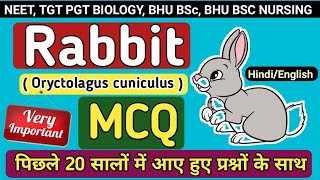 RabbitOryctolagus CuniculusNEET BIOLOGY 2021TGT PGT BIOLOGYMCQ on RabbitNEET NCERT BIOLOGY [upl. by Uuge]