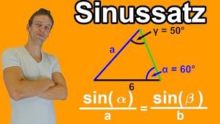 Sinussatz  Leichte Einführung  Alles was du wissen musst mit Aufgaben Lösung  LehrerBros [upl. by Eehsar]