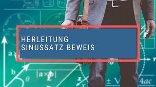 Herleitung Sinussatz Beweis [upl. by Dunn332]