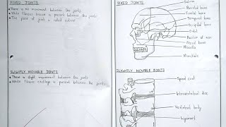 Class12Plus twoZoology recordHISTOLOGYOSTEOLOGYBIOCHEMICAL EXPERIMENTS amp SLIDE PREPARATION [upl. by Izmar]