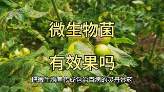 微生物菌剂有效果吗？为何有人说智商税？如何使用效果好？ [upl. by Arraes]