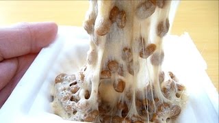 Eating Japanese food Natto 納豆 ASMR [upl. by Adnerad576]