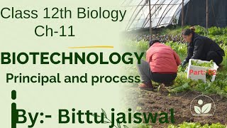 biotechnology principal and process questions answer । biotechnology principles and processes [upl. by Ramad]