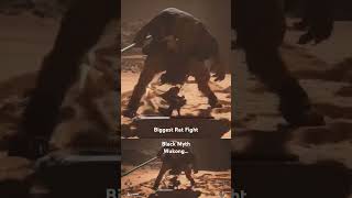 Biggest Rat Fight blackmythwukonggameplay ps5 viralshorts viralgame [upl. by Ehud]