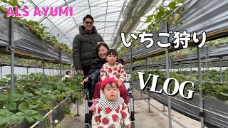 いちご狩り🍓VLOG [upl. by Jacobson]