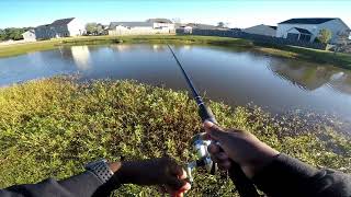 Catching A Bass Off First Cast using 2 Crankbait [upl. by Telrahc]