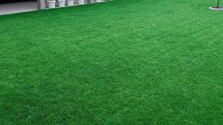 Is your lawn changing color Do these things as soon as possible [upl. by Mareld278]