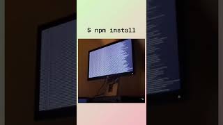 NPM INSTALL [upl. by Ranchod]