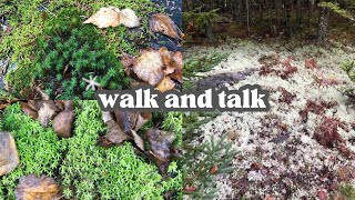 🌿NATURE WALK AND TALK🌿Talk ferns moss and Liverworts with a Future ADHD Teacher [upl. by Hartwell]