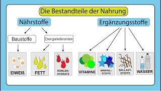 Die Nahrung und ihre Bestandteile –Natur und Technik 5Klasse [upl. by Adim]