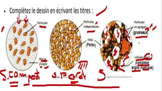 TCSF  CONTRÔLE CONTINUE 2 semestre I فرض محروس رقم 2 [upl. by Monetta492]