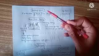 Hemoptysis and its etiology [upl. by Anitsirhcairam]