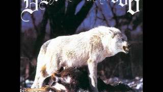 Destroyer 666  Unchain the Wolves [upl. by Cob]