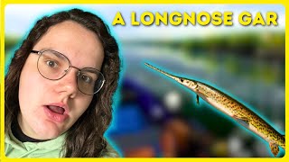 I Caught a Longnose Gar  Fishing Planet [upl. by Daveta]