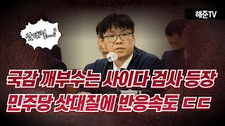 국감 초토화시킨 사이다 검사의 등장 민주당 삿대질에 반응속도 현장감 미쳤다 ㄷㄷㄷ [upl. by Oyam376]