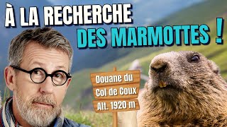 Jamy part à la recherche des marmottes et des chamois [upl. by Dollie]