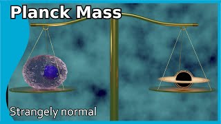 The Planck Mass Not extremely big and not extremely small [upl. by Magda]