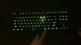 ROYAL KLUDGE RG987 87 KEYS RGB MECHANICAL KEYBOARD testing [upl. by Wendie180]