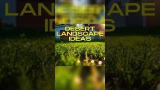 Desert Landscaping Ideas  Plants for Your Desert Spaces 🏜️  Landscaping Ideas  gardenlandscaping [upl. by Eisus]