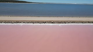 Nullarbor Day 1 Penong Windmills Point Sinclair amp The Pink Lakes [upl. by Namijneb]