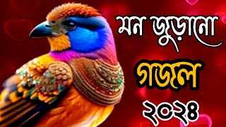 Bangla Gojol। New Bangla Gazal। Ghazal। Gojol। Islamic Gazal। 2024 Gojol। Bangla New Gazal 2024 [upl. by Sidnal]