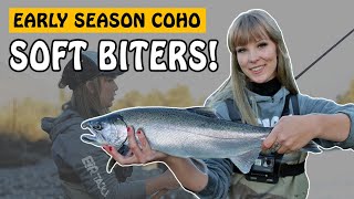 Coho Salmon are Soft Biters in Low and Clear Rivers  Fishing with Rod salmonfishing fishing [upl. by Skill]