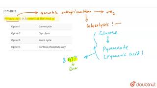 Pyruvic acid is formed at the end of [upl. by Goldner]