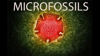 What are Microfossils and why do we care [upl. by Airtina]