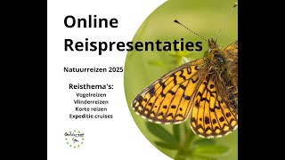 Reispresentatie Vlinderreizen 2025 van Goldcrest Nature Tours [upl. by Coral]