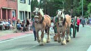 Belgian Draft HorsesKeerbergenKarrenen wagenstoet2013 [upl. by Yrrej]