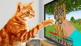 I Taught My Cats to Beat Minecraft in Real Life [upl. by Druci873]