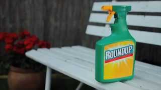 Roundup 1L Ready to Use  Video  Roundup Weedkiller [upl. by Medea]