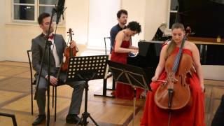 Brahms Piano trio in B major op8 [upl. by Boelter]