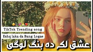 Eshq laka da Bang Logae Slowed Reverb  TikTok Trending song Kha lagi khwaga lagi Pashto Song 2024 [upl. by Dirk]