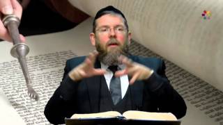 Rabbi Reuven Lauffer  Basic Judaism The 10 Commandments  Part 1 [upl. by Gail]