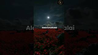 Alaichalgalai Arindhavarae tamilchristiansongs [upl. by Koziara634]