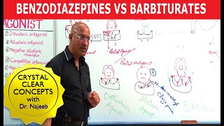 Benzodiazepines Vs Barbiturates  Pharmacology  Dr Najeeb Lectures [upl. by Aipotu]