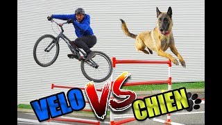 JE DÉFIE UN CHIEN  Vélo vs Chien [upl. by Harte]