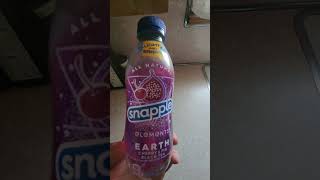 Snapple Elements Earth Cherry amp Fig Black Tea Review Part 3 foodshorts snapple icedtea [upl. by Trebmer]