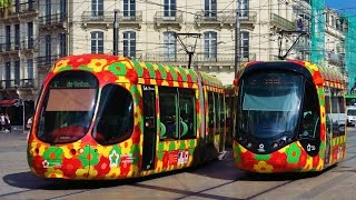 Trams in France  Les Tramways de Montpellier [upl. by Anaer]