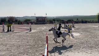 As Poney Elite Excellence TDA de Magnanville Celtik 1er [upl. by Dnyletak436]