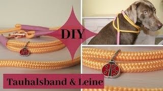 DIY  Einfaches Tauhalsband mit Leine [upl. by Inalaeham]