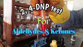 24DNP Bradys reagent test for Aldehyde and Ketones [upl. by Camilla363]