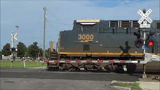 Goldleaf Street Railroad Crossing Rocky Mount NC [upl. by Wolfort]