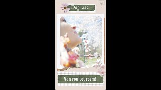 DAG 222  VAN ROU TOT ROEM [upl. by Utica]